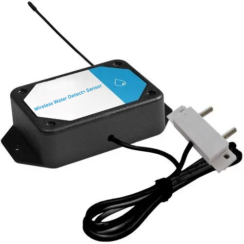 Wireless Water Detect+ Sensor