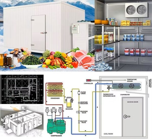 Mobile cold storage - NVITASIA